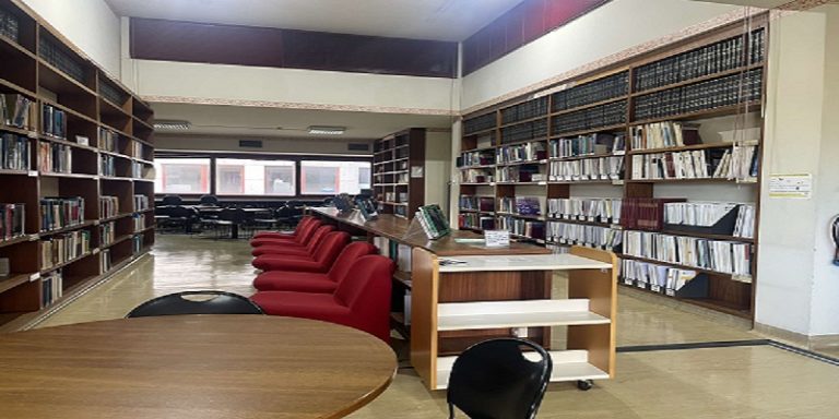 Bibfmdup BAD 768x384