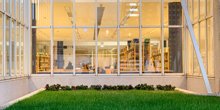 exterior biblioteca biblioteca 800x400 768x384